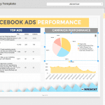 ninjacat-ads-performance